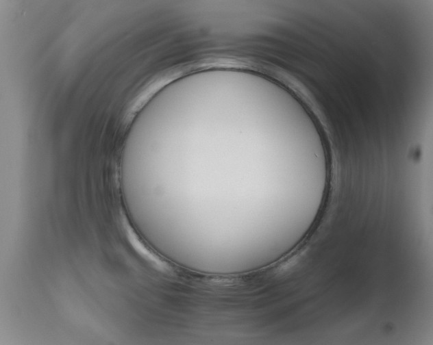 X0000111011433200906191157