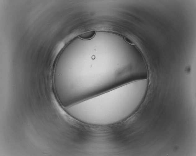 X0000111011434200906191157