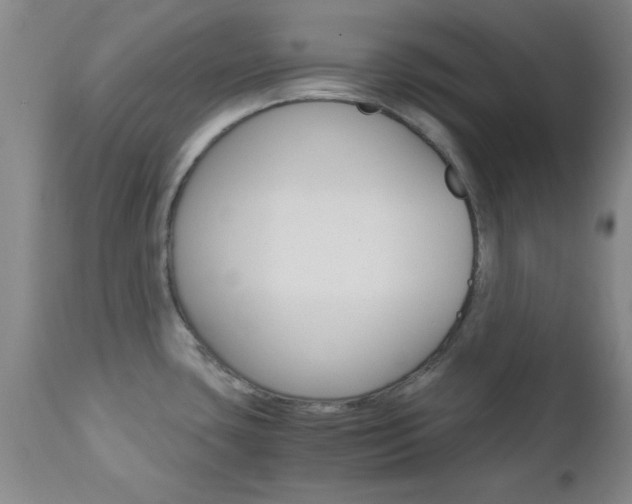 X0000111011435200906191157