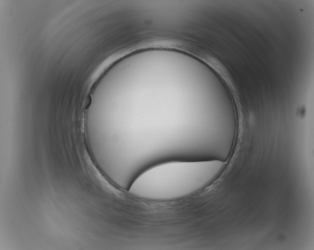 X0000111011436200906191157