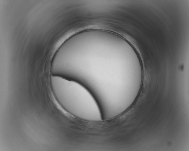 X0000111011437200906191157