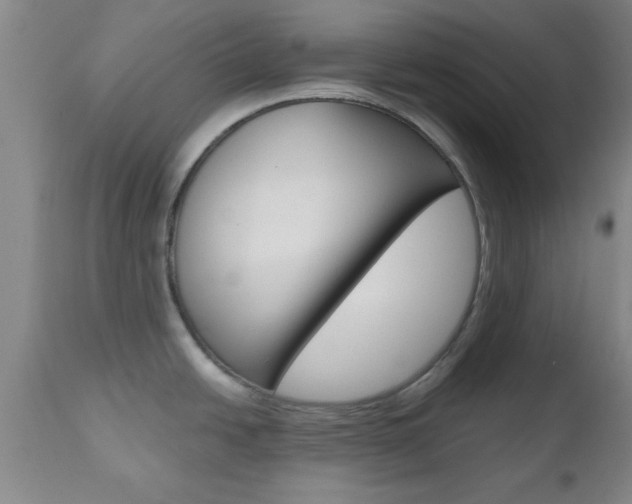 X0000111011438200906191157