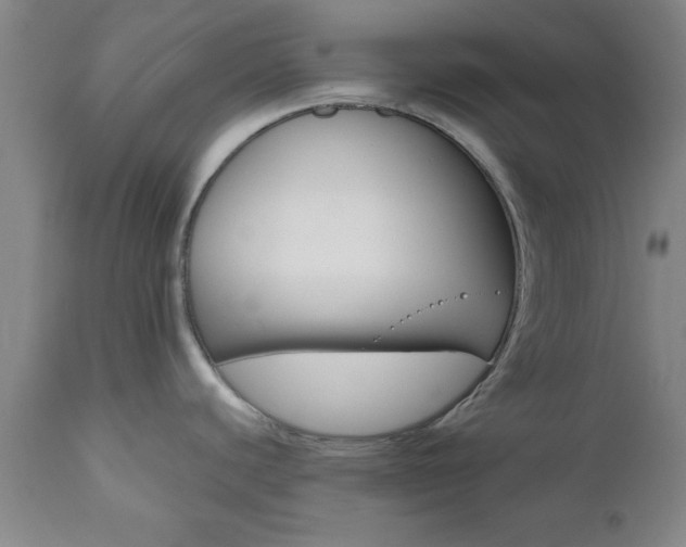 X0000111011440200906191157