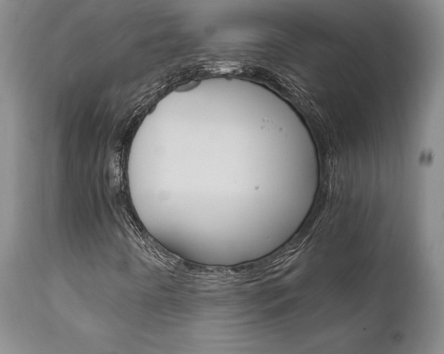 X0000111011442200906191156