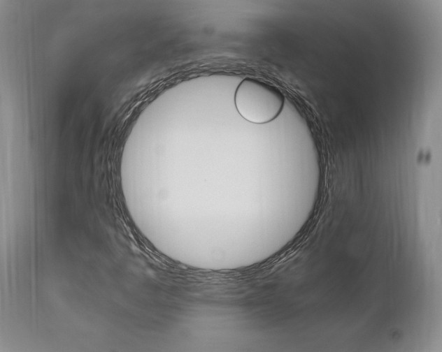 X0000111011445200906191156