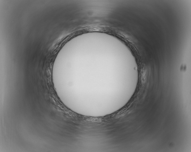 X0000111011446200906191156