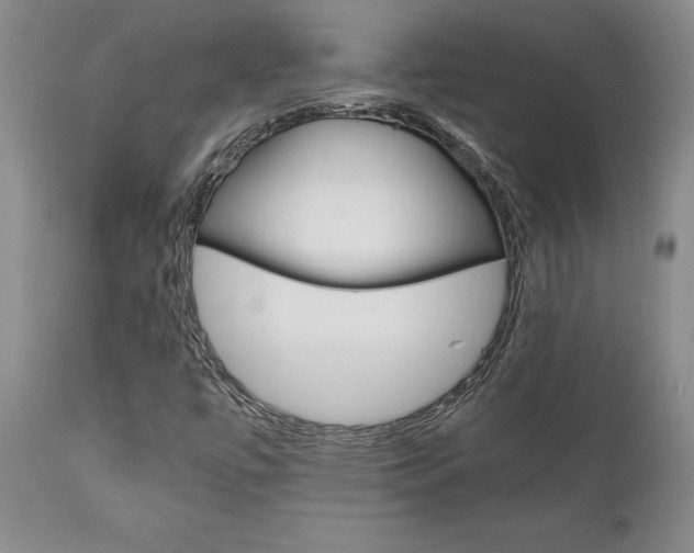 X0000111011447200906191156