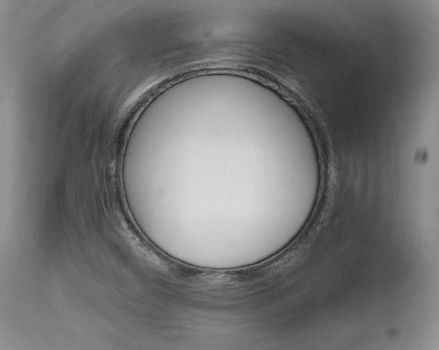 X0000111011450200906191156