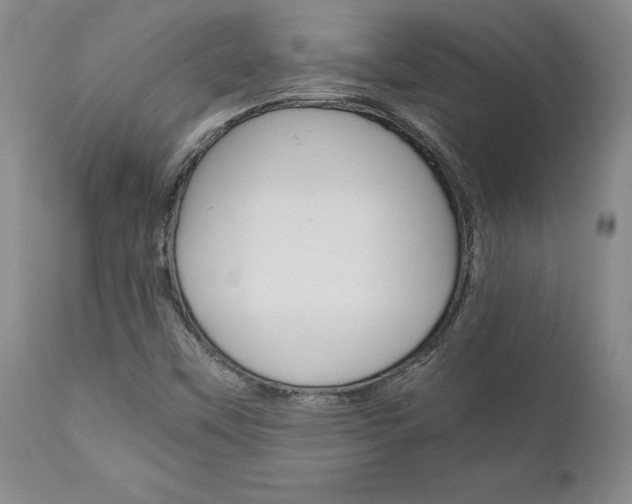 X0000111011451200906191156