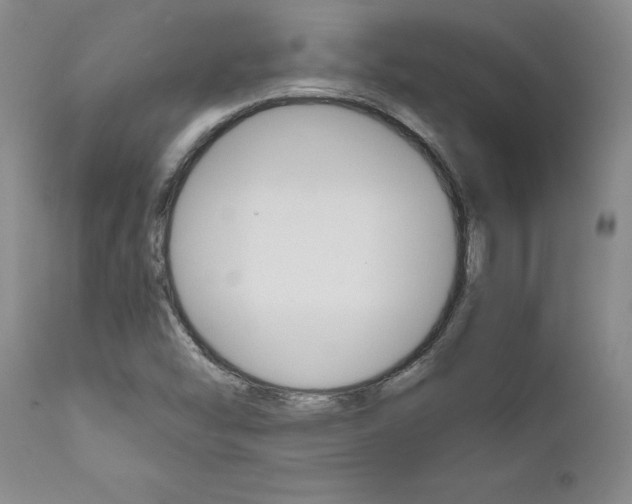 X0000111011454200906191156