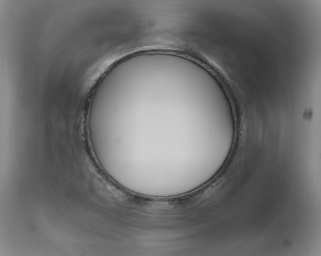 X0000111011455200906191156