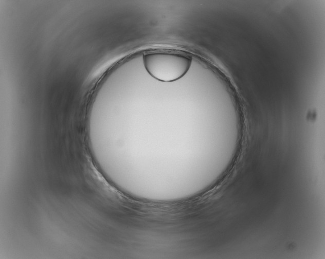 X0000111011456200906191156