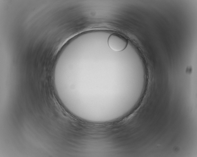 X0000111011457200906191156