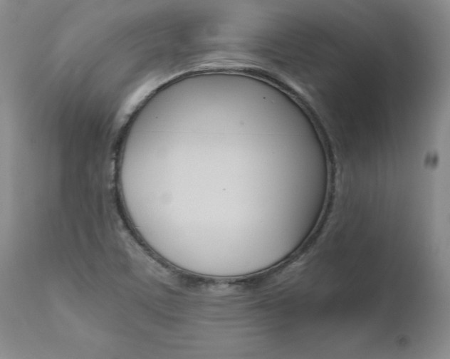 X0000111011459200906191156