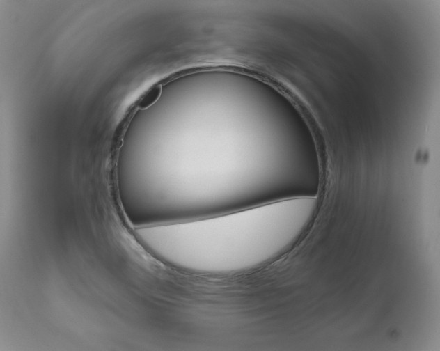 X0000111011460200906191156