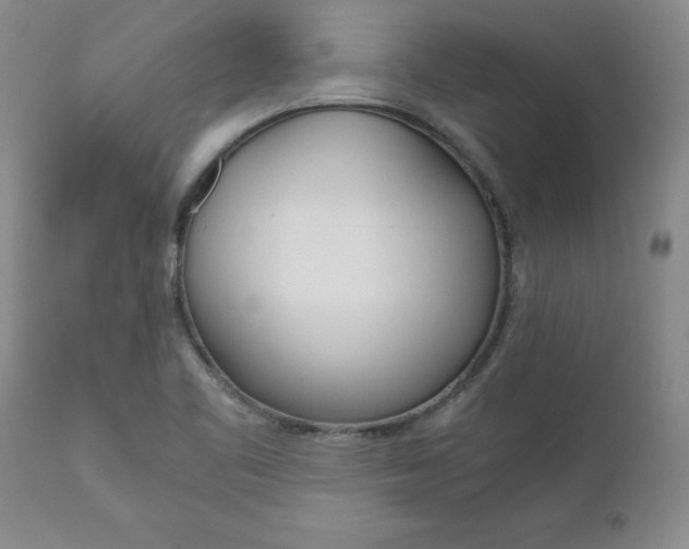 X0000111011461200906191156