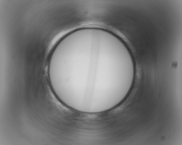 X0000111011462200906191156