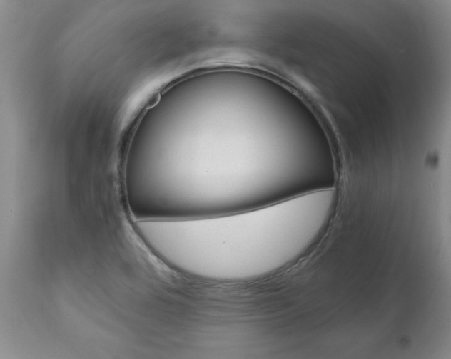 X0000111011464200906191156