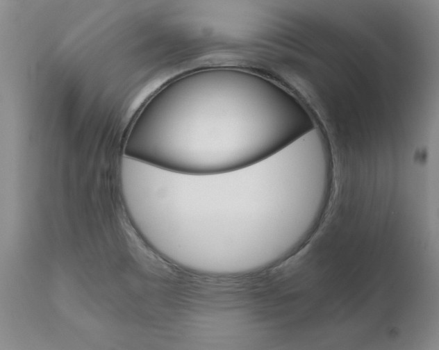 X0000111011465200906191156
