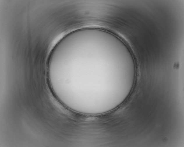 X0000111011467200906191156