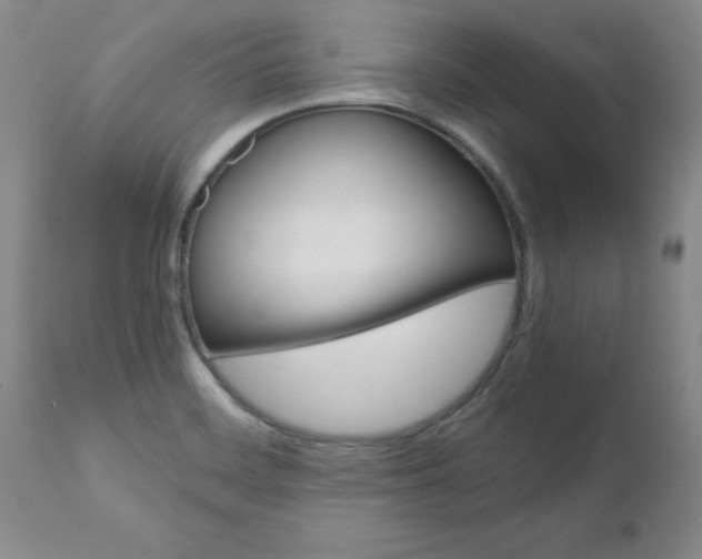 X0000111011468200906191156