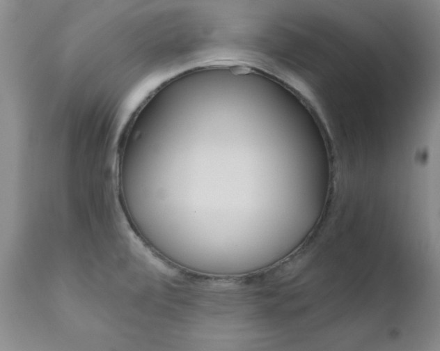 X0000111011472200906191156