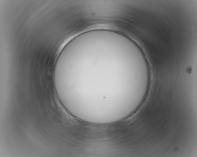 X0000111011473200906191156