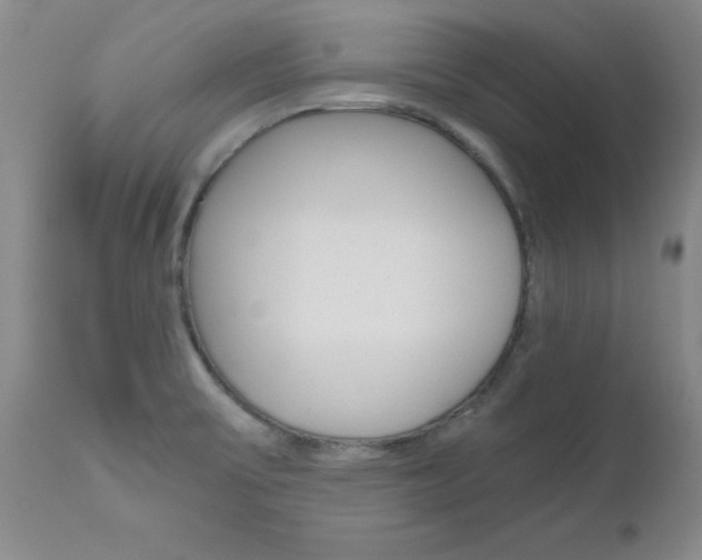X0000111011475200906191156