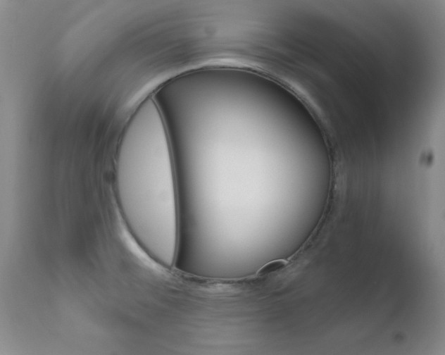 X0000111011476200906191156