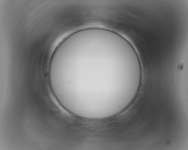 X0000111011477200906191156