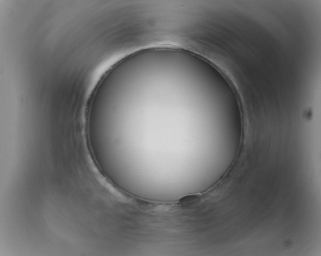 X0000111011480200906191156