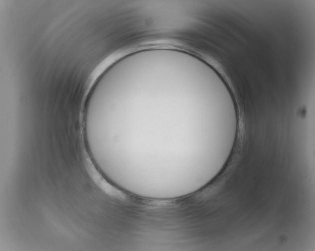 X0000111011482200906191156