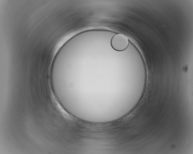 X0000111011485200906191156