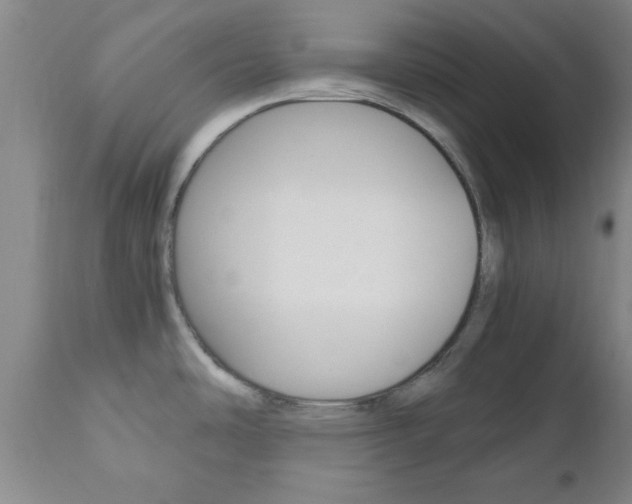 X0000111011486200906191156