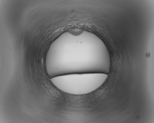 X0000111011489200906191155