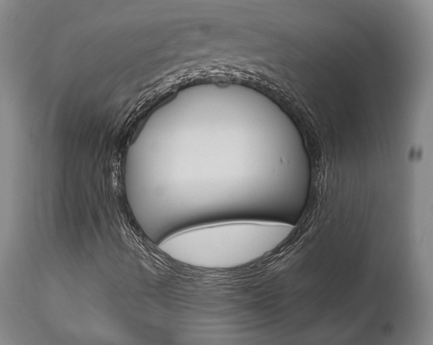 X0000111011490200906191155