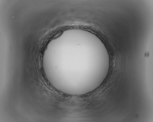 X0000111011493200906191155