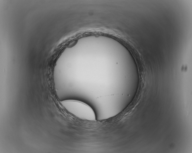 X0000111011494200906191155