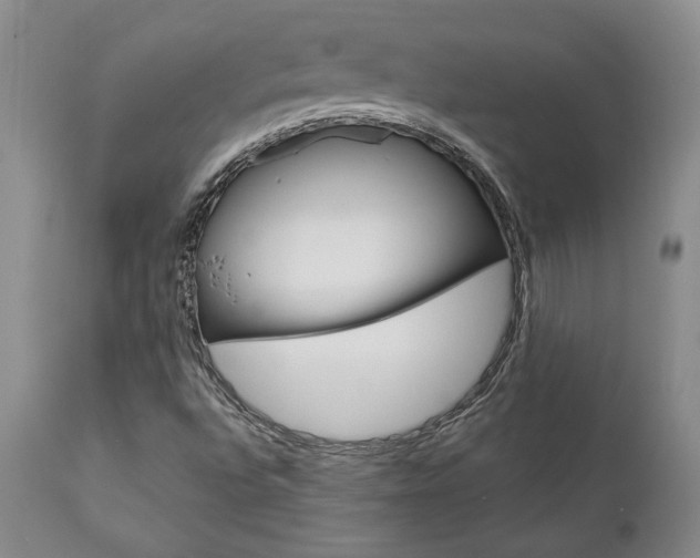 X0000111011496200906191155