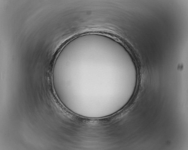 X0000111011497200906191155