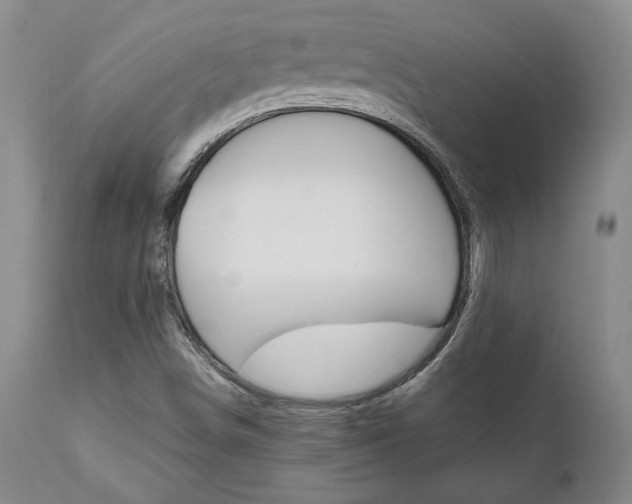 X0000111011498200906191155