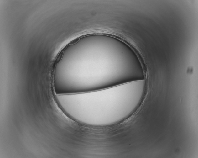 X0000111011500200906191155