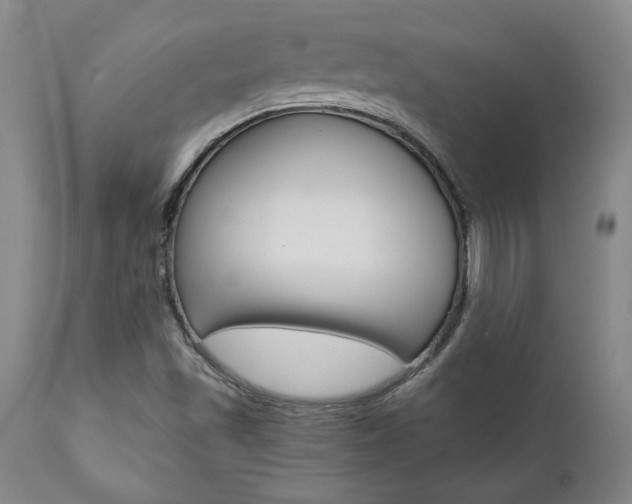 X0000111011501200906191155