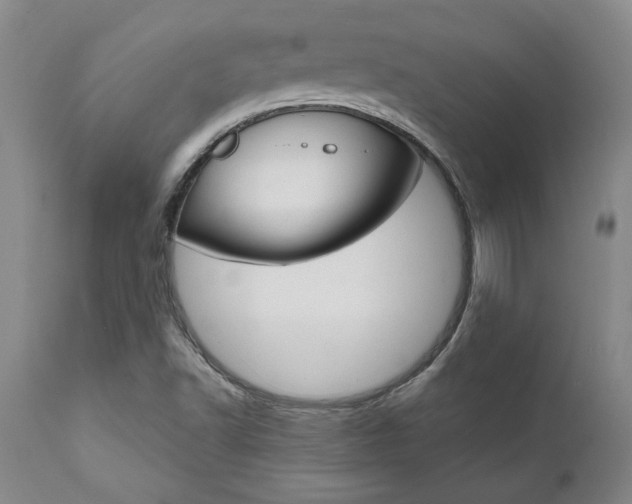 X0000111011502200906191155