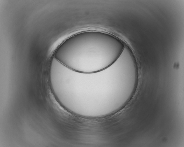 X0000111011504200906191155