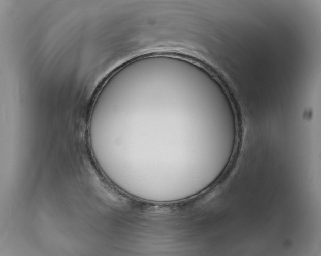 X0000111011505200906191155