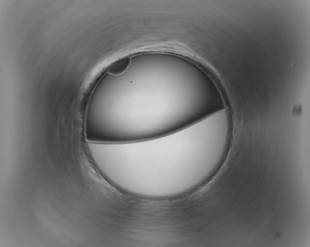 X0000111011506200906191155