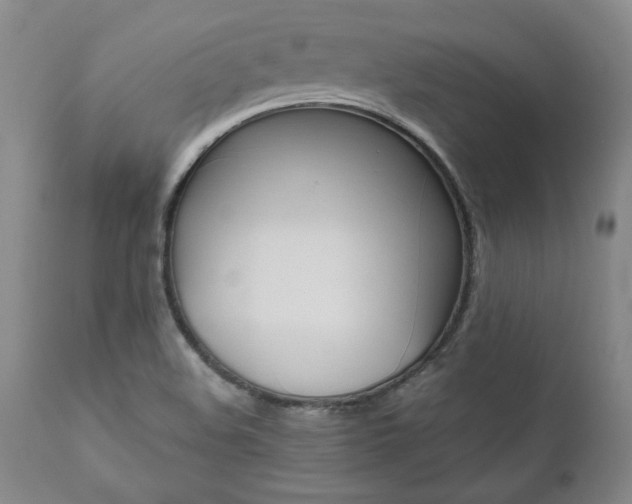 X0000111011508200906191155