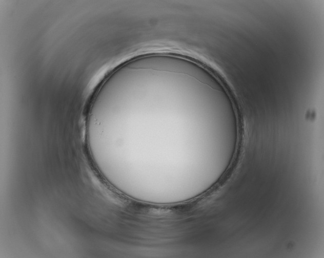 X0000111011509200906191155