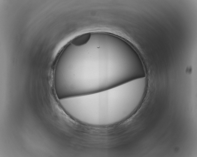 X0000111011510200906191155